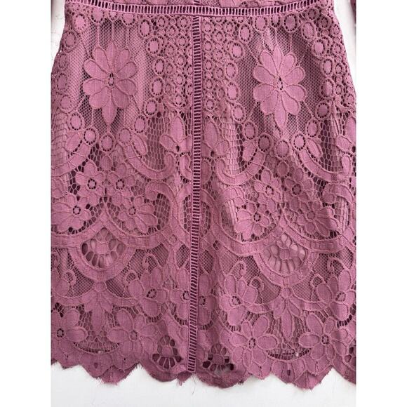 Cupcakes and Cashmere Dress Women’s Size 4 Lace Deco Rose Pink Fitted Lined - Picture 2 of 14